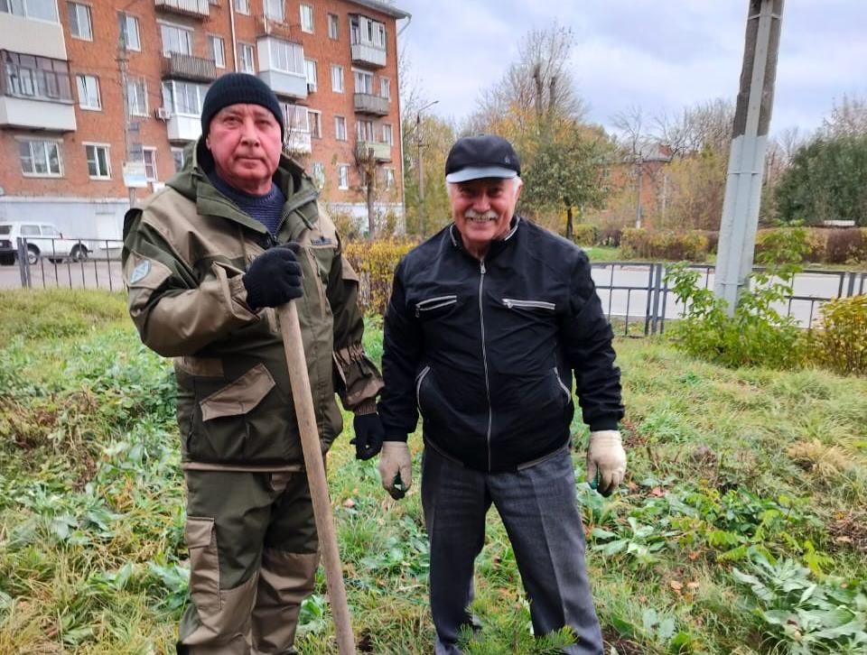 Аллея сосен на Косой Горе